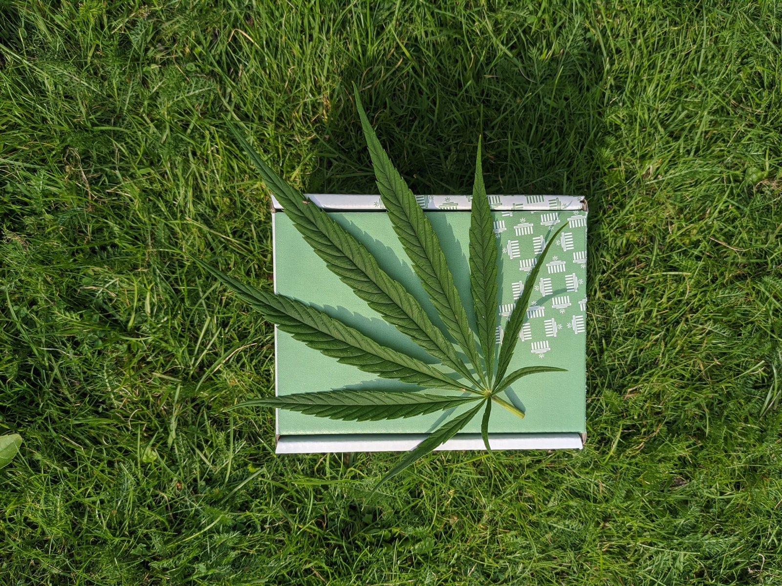 thc